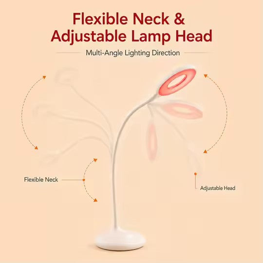 Lamp adjustable head