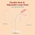 Lamp adjustable head